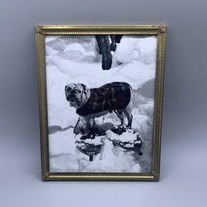 Vintage Ornate Gold Frame Vintage Picture English Bulldog on Snow Shoes Skis